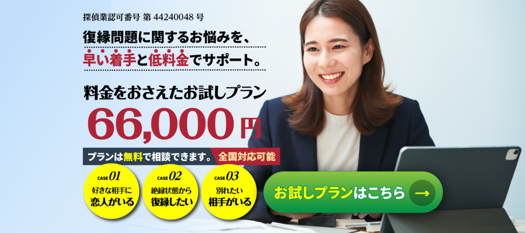 料金をおさえたお試しプラン66,000円